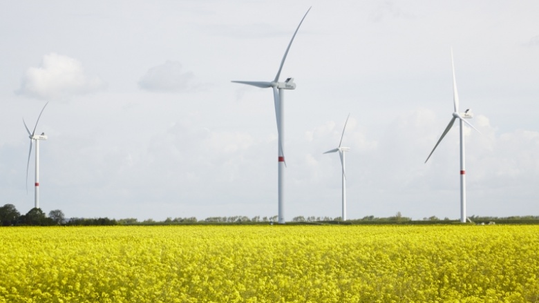 Vorrang für Erneuerbare Energien