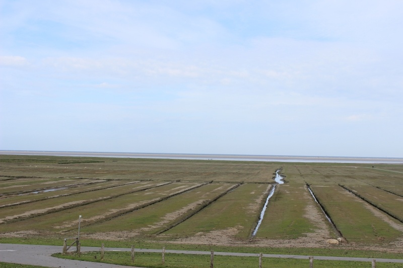 Eindrücke vom Wahlkreis: Deich