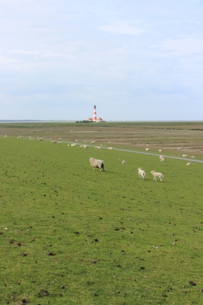 Eindrücke vom Wahlkreis: Westerhever
