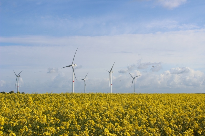 Eindrücke vom Wahlkreis: Windmühle