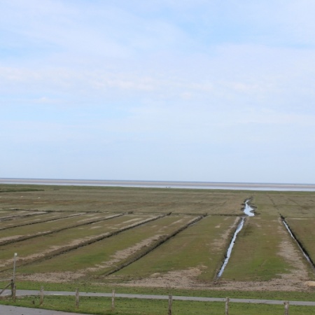 Eindrücke vom Wahlkreis: Deich