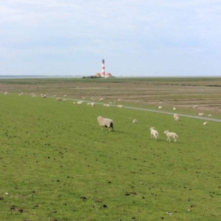 Eindrücke vom Wahlkreis: Westerhever