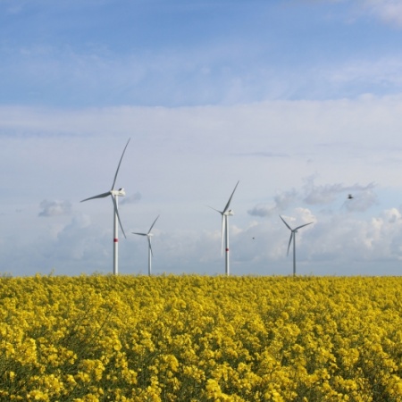 Eindrücke vom Wahlkreis: Windmühle