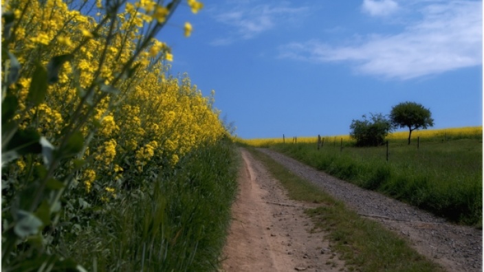 Eine Perspektive für den ländlichen Raum